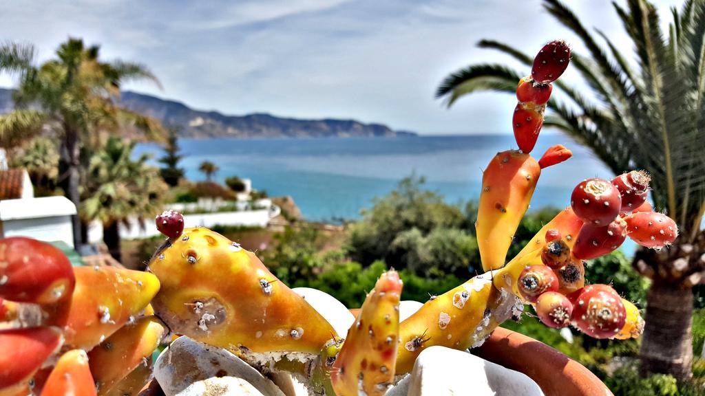 Villa Carabeo Nerja Esterno foto